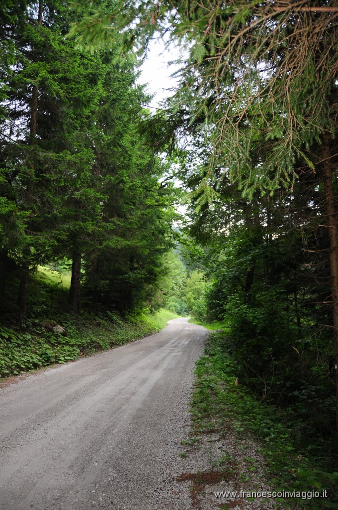 40 km off road nel bosco 2011.07.30_3.JPG